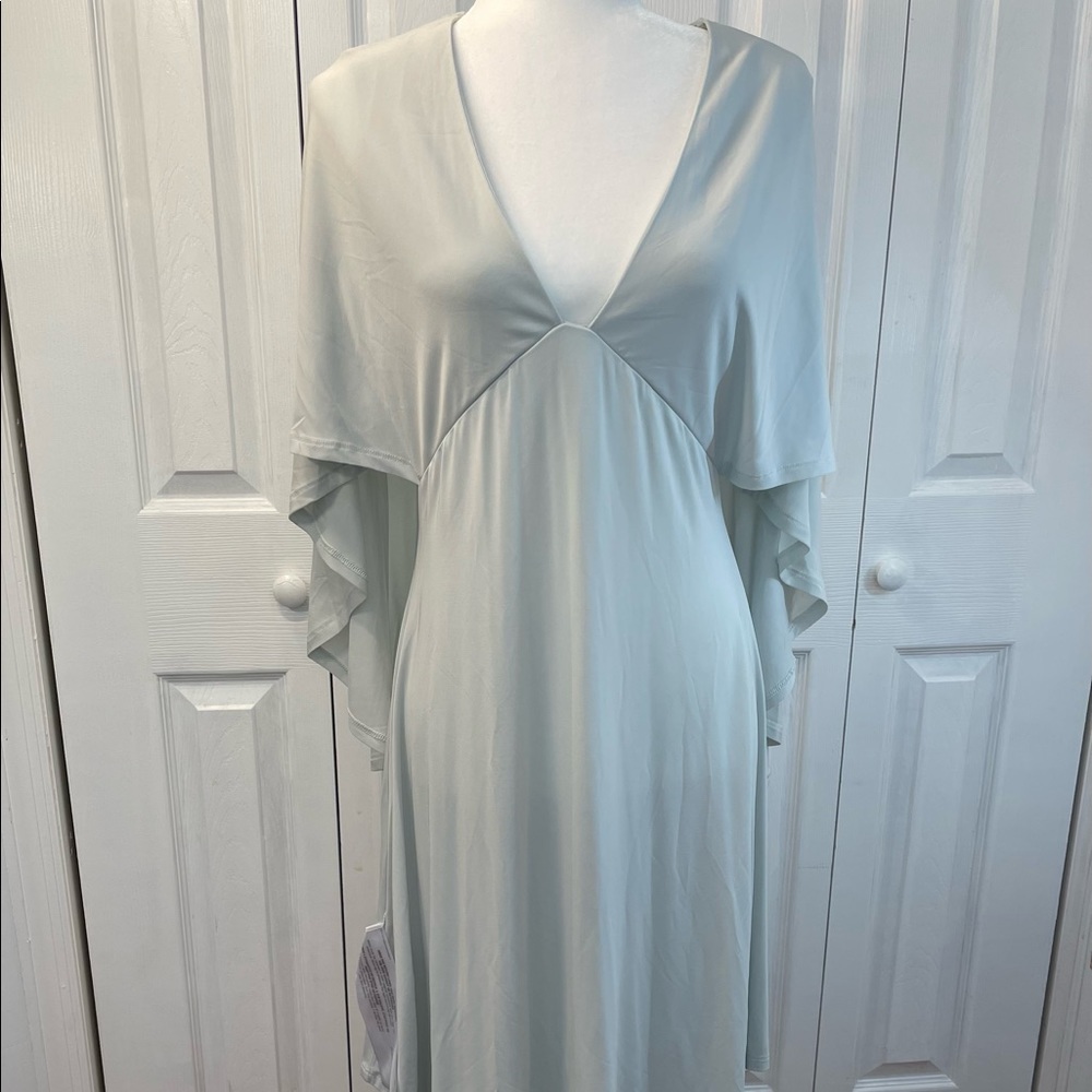 BCBG Maxi dress